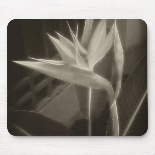 Antiqued Bird of Paradise 10 Muismat (Voorkant)