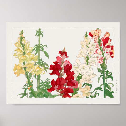 Antirhinum majus van Tanigami Konan Poster (Voorkant)