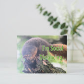 Antisociale eekhoorn briefkaart (Staand voorkant)