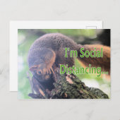 Antisociale eekhoorn briefkaart (Voorkant / Achterkant)