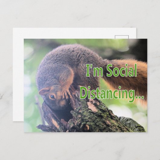 Antisociale eekhoorn briefkaart (Voorkant / Achterkant)