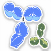 Antistof IgG 1 of 4, blauw en groen Sticker (Voorkant)