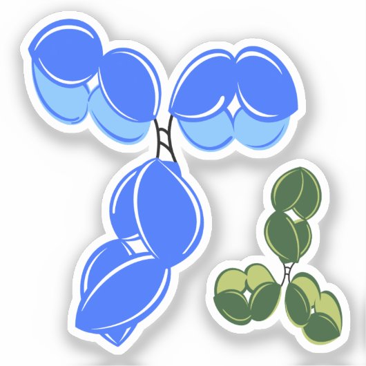 Antistof IgG 1 of 4, blauw en groen Sticker (Voorkant)