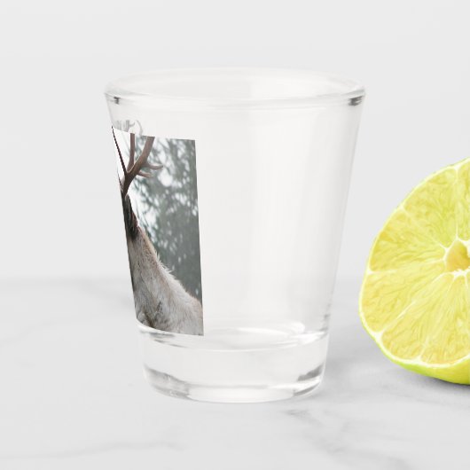 Antlered Cariou Foto Shot Glas (Rechts)