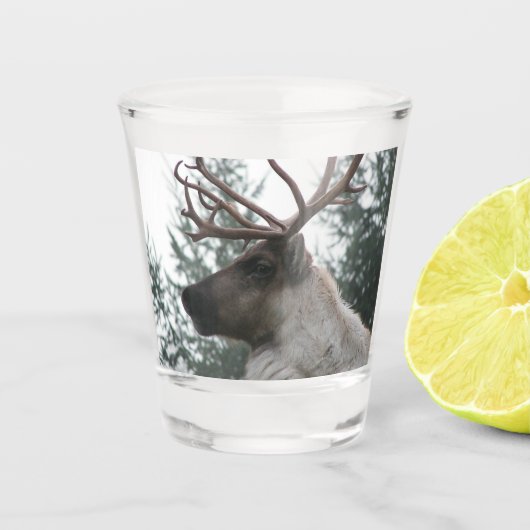 Antlered Cariou Foto Shot Glas (Voorkant)