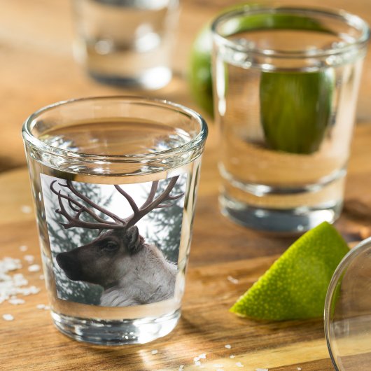 Antlered Cariou Foto Shot Glas