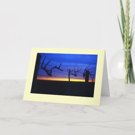 "Antlers #2" Kaart (Voorkant)