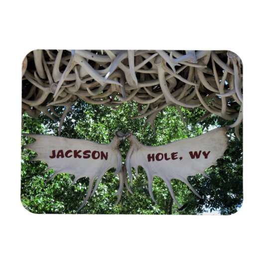 Antlers Arch Jackson Hole, Wyoming Travel Magneet (Horizontaal)