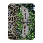 Antlers Arch Jackson Hole, Wyoming Travel Magneet (Verticaal)