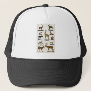 Antlers DEER GIRAFFE BULL Trucker Pet