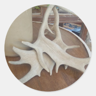 Antlers op display ronde sticker