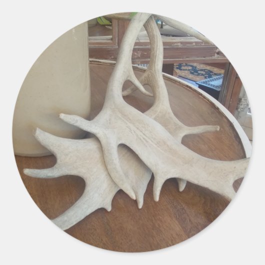 Antlers op display ronde sticker (Voorkant)