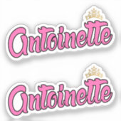 Antoinette Roze Naam x2 Vinyl Sticker (Voorkant)