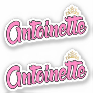 Antoinette Roze Naam x2 Vinyl Sticker