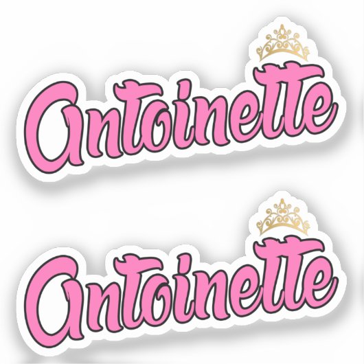 Antoinette Roze Naam x2 Vinyl Sticker (Voorkant)