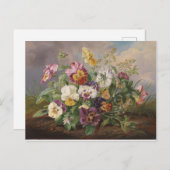 Anton Mollis  Pansy Briefkaart (Voorkant / Achterkant)