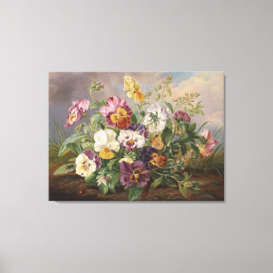 Anton Mollis Pansy Canvas Afdruk