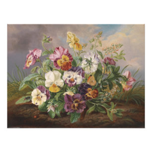 Anton Mollis  Pansy Foto Afdruk