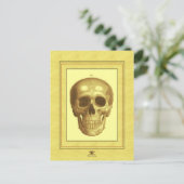 Antque Skull Briefkaart (Staand voorkant)