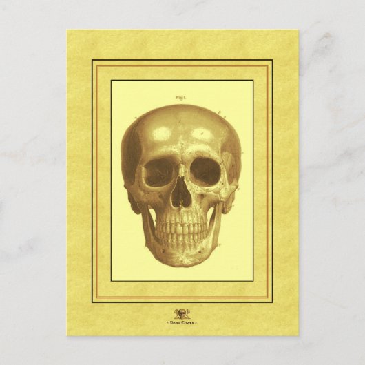 Antque Skull Briefkaart (Voorkant)