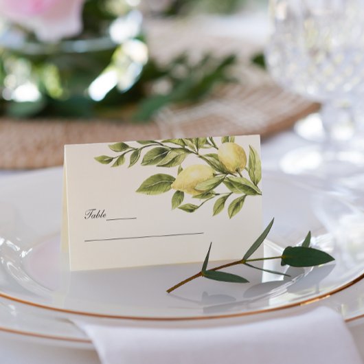 Antraciet | Lemons Leaves elegant Wedding Visitekaartje
