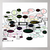 Antropologische kaart poster (Voorkant)