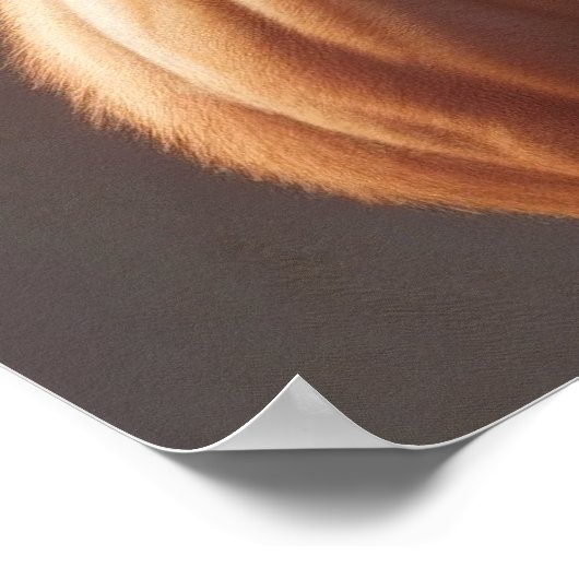 Antropomorfe tijger | Bodybuilder | Digitale kunst Poster (Hoek)