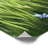 Antropomorfe witte kat in blauwe jurk | AI Art. Poster (Hoek)