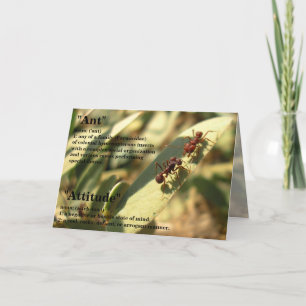 Ants & Attitude - Wenskaart #2 Kaart