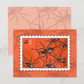 Ants Briefkaart (Voorkant / Achterkant)