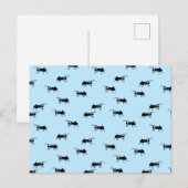 Ants Briefkaart (Voorkant / Achterkant)