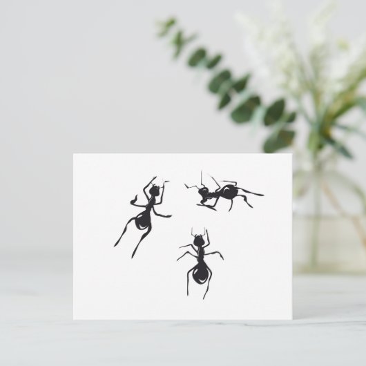 ANTS BRIEFKAART (Staand voorkant)