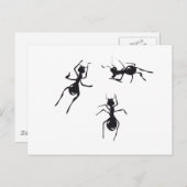 ANTS BRIEFKAART (Voorkant / Achterkant)