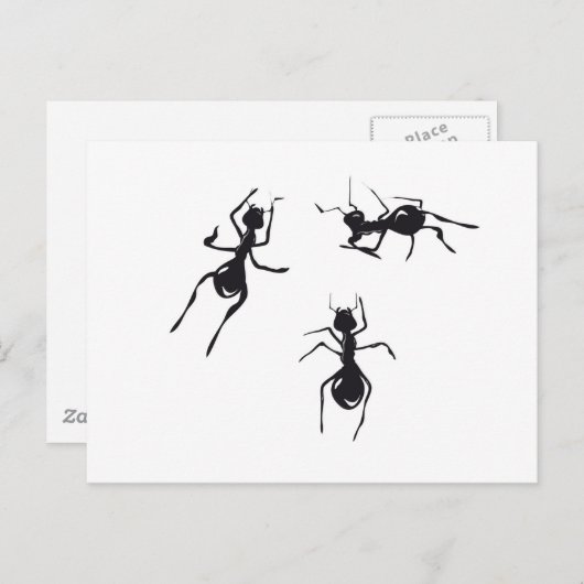 ANTS BRIEFKAART (Voorkant / Achterkant)