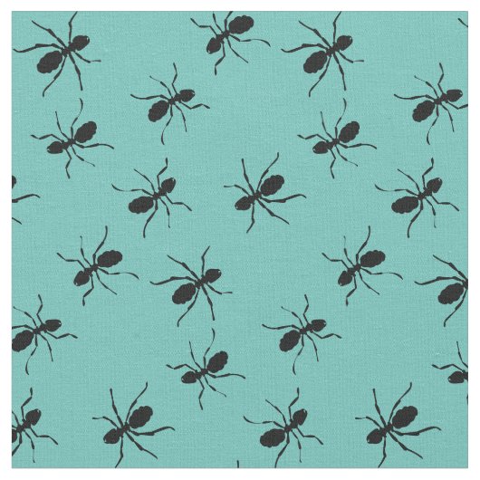 Ants Bugs Insects Stof (Close Up)