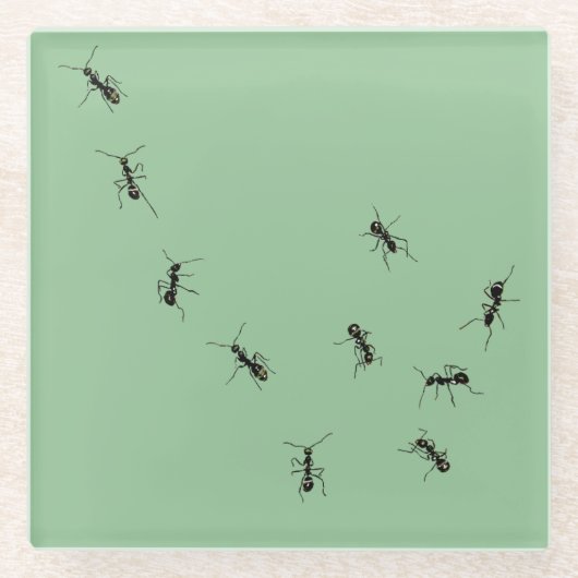 Ants Glazen Onderzetter (Voorkant)