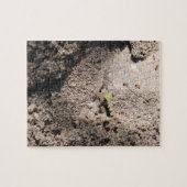 Ants Go Marching Legpuzzel (Horizontaal)