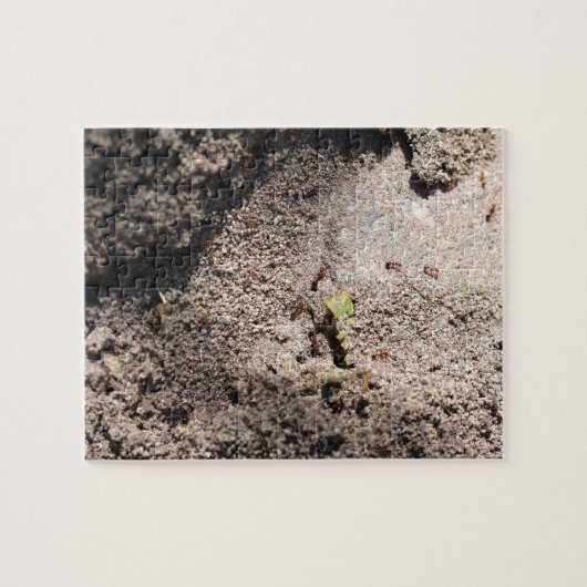 Ants Go Marching Legpuzzel (Horizontaal)