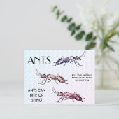 Ants Insects Bugs Creepy Crawly Creats Briefkaart (Staand voorkant)