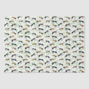 Ants Insects Bugs Creepy Crawly Creats Tissuepapier