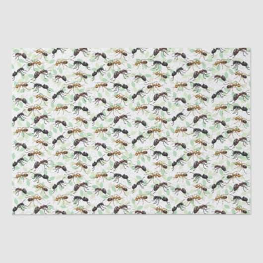 Ants Insects Bugs Creepy Crawly Creats Tissuepapier (Voorkant)