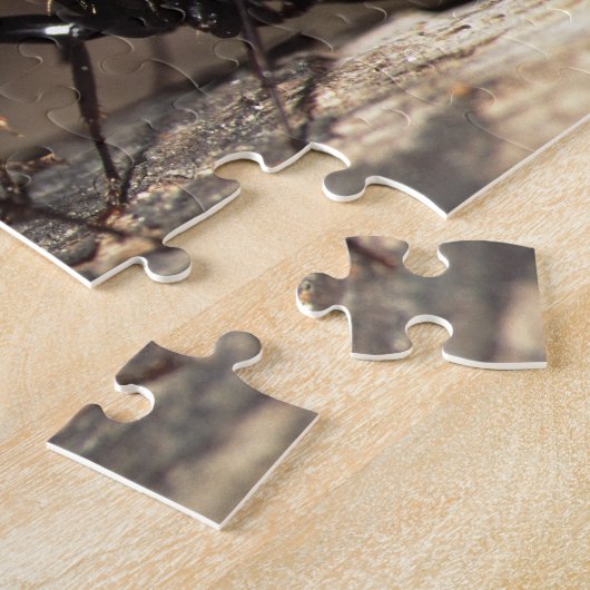 Ants Legpuzzel (Zijkant)
