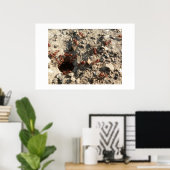Ants. Poster (Thuiskantoor)