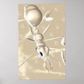 ANTS! POSTER (Voorkant)