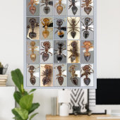 AntWeb Crematogaster harten Poster (Thuiskantoor)