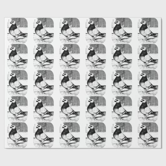 Antwerpen Short Faced Pigeon Cadeaupapier (Vlak)