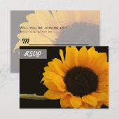 Antwoord Zonnebloem Foto op Zwarte Kaarten (Voorkant / Achterkant)
