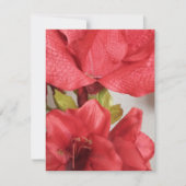 antwoordkaart amaryllis bruiloft Rood RSVP Kaartje (Voorkant)