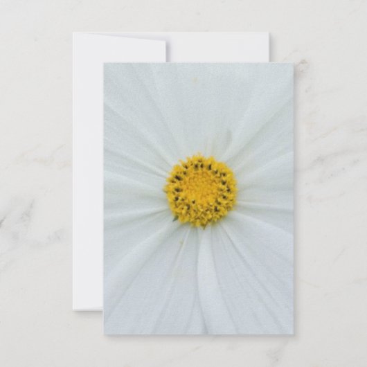 Antwoordkaart RSVP Kaartje (Achterkant)