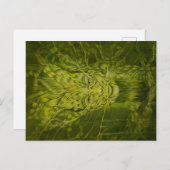 Anu/Elementair Groen Briefkaart (Voorkant / Achterkant)